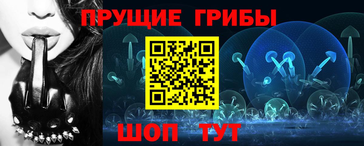 Псилоцибиновые грибы Psilocybe  Вход с VPN  Волгодонск  Галлюциногенные грибы Magic Shrooms 