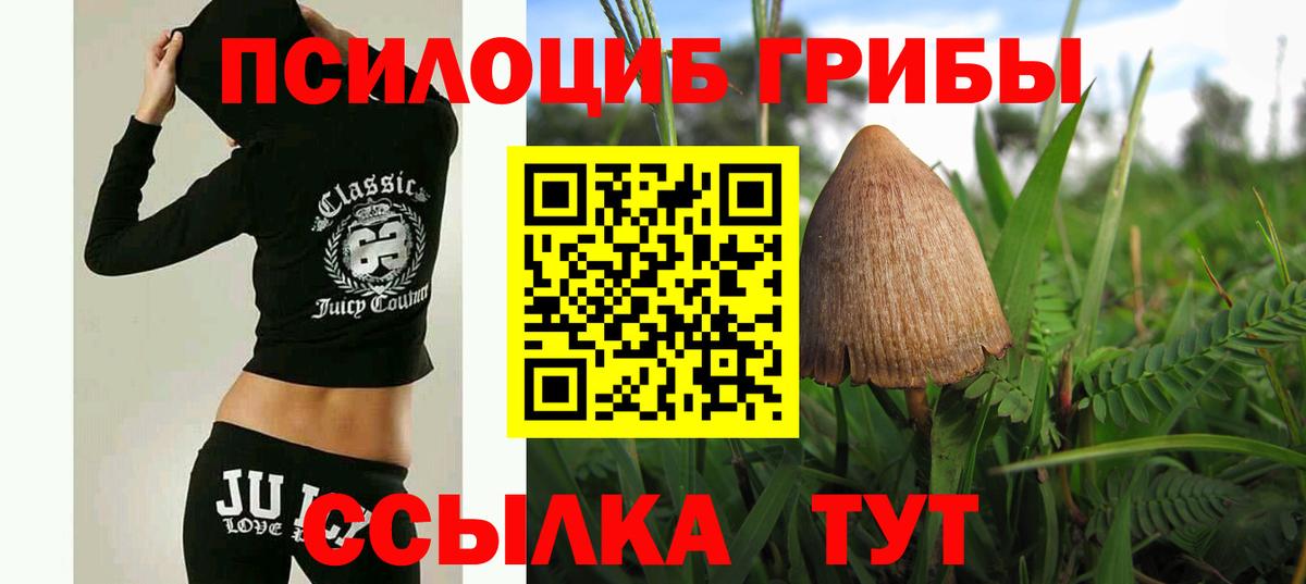 Галлюциногенные грибы ЛСД Волгодонск